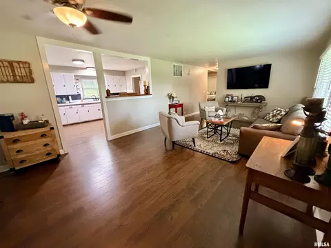 Other - 324 E Ash St, Cobden, IL 62920 photo 4 of 11