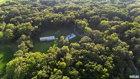 Other - 11303 Pauli Rd, Dunlap, IL 61525 photo 1 of 21