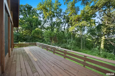 Exterior - 11303 Pauli Rd, Dunlap, IL 61525 photo 6 of 23