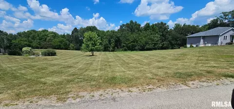 203 Cottonwood Ct, Williamsfield, IL 61489