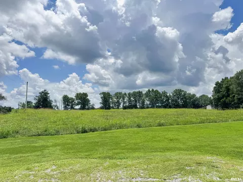 Exterior - 1045 Gurley Loop, Buncombe, IL 62912 photo 12 of 12