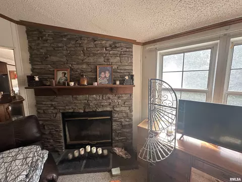 Living - 2 Carlock Rd, Murphysboro, IL 62966 photo 1 of 3