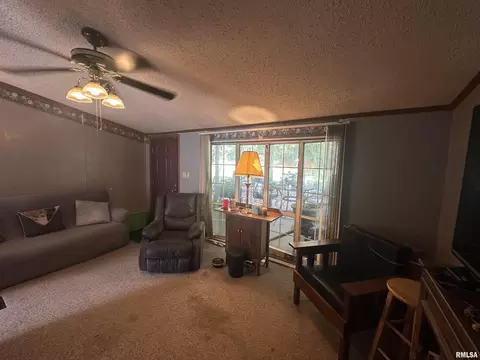 Living - 2 Carlock Rd, Murphysboro, IL 62966 photo 2 of 3