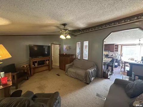 Living - 2 Carlock Rd, Murphysboro, IL 62966 photo 3 of 3