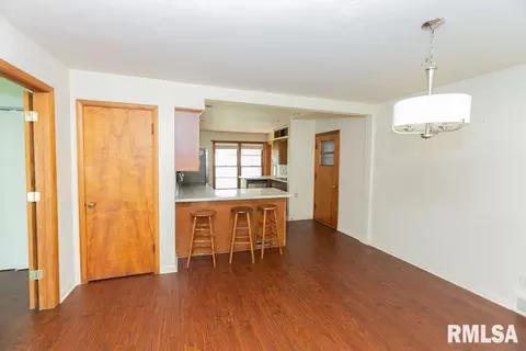 Other - 205 White St, Congerville, IL 61729 photo 2 of 15