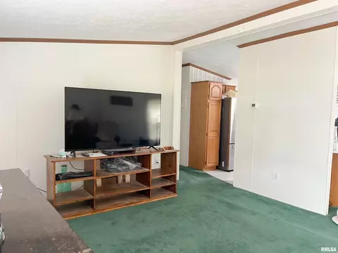 Living - 409 233rd St, Aledo, IL 61231 photo 1 of 1