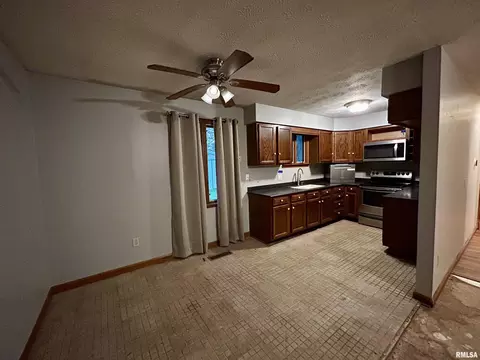 Other - 210 E 19th Street C, Metropolis, IL 62960 photo 2 of 6
