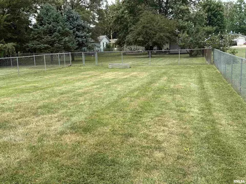 Exterior - 1215 E Chestnut St, Canton, IL 61520 photo 3 of 4