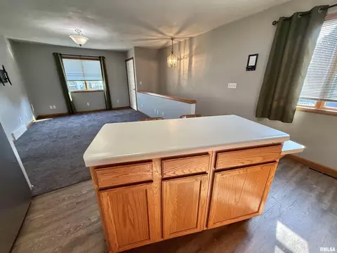 Kitchen - 1215 E Chestnut St, Canton, IL 61520 photo 5 of 7