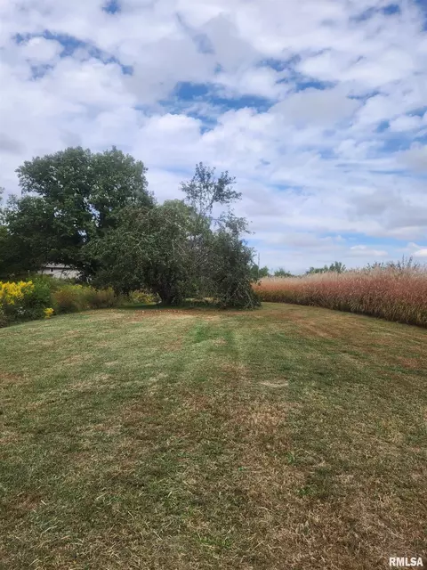 Other - 29676 Northrup Rd, Trivoli, IL 61569 photo 11 of 13