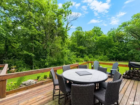 Exterior - 1322 W Hickory Trce, Dunlap, IL 61525 photo 11 of 20
