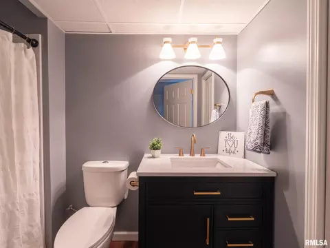 Bath - 1322 W Hickory Trce, Dunlap, IL 61525 photo 6 of 6