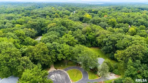 View/Area - 1322 W Hickory Trce, Dunlap, IL 61525 photo 1 of 1