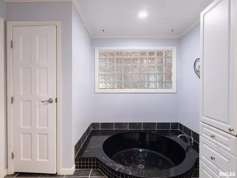 Bath - 1322 W Hickory Trce, Dunlap, IL 61525 photo 3 of 6