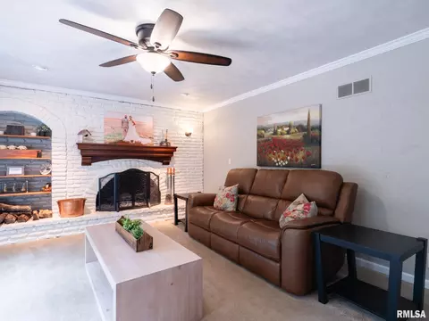Living - 1322 W Hickory Trce, Dunlap, IL 61525 photo 3 of 6