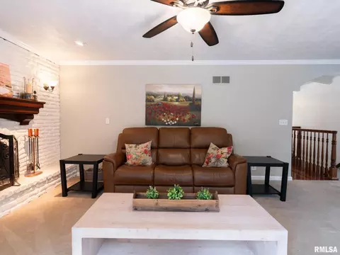 Living - 1322 W Hickory Trce, Dunlap, IL 61525 photo 4 of 6