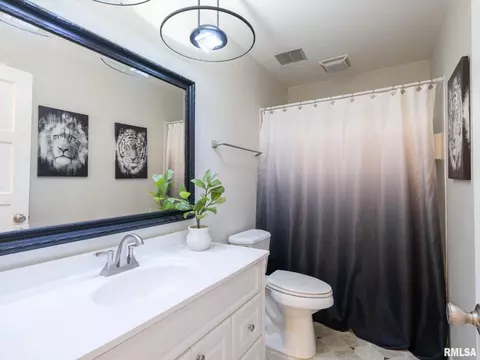 Bath - 1322 W Hickory Trce, Dunlap, IL 61525 photo 5 of 6