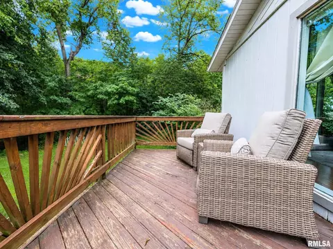 Exterior - 1322 W Hickory Trce, Dunlap, IL 61525 photo 8 of 20