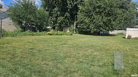 Exterior - 107 E Olive St, Canton, IL 61520 photo 5 of 7