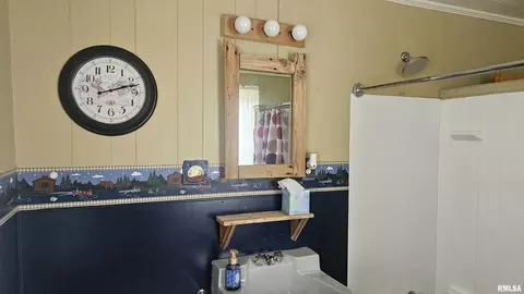 Bath - 107 E Olive St, Canton, IL 61520 photo 5 of 5