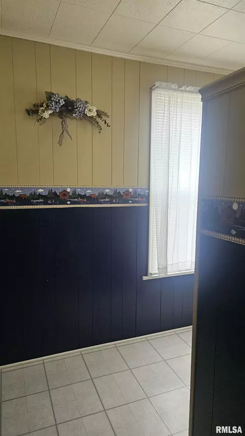 Other - 107 E Olive St, Canton, IL 61520 photo 9 of 10