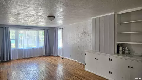 Living - 107 E Olive St, Canton, IL 61520 photo 1 of 4