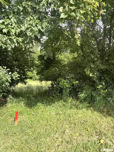 107 Scarlet Ct, Washington, IL 61571 photo 2