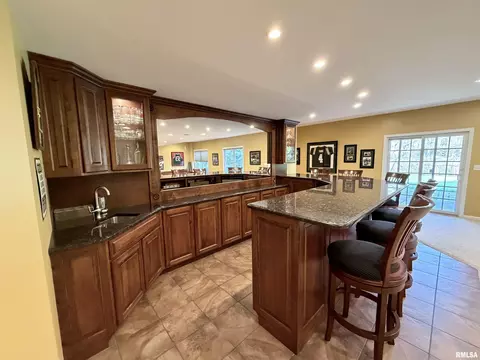 224 Hillbrook Ct, Dunlap, IL 61525 photo 58