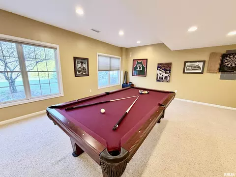 224 Hillbrook Ct, Dunlap, IL 61525 photo 60