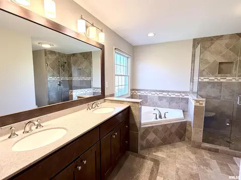 224 Hillbrook Ct, Dunlap, IL 61525 photo 46
