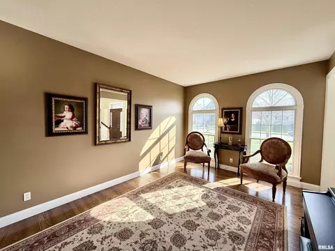224 Hillbrook Ct, Dunlap, IL 61525 photo 33