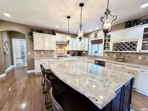 224 Hillbrook Ct, Dunlap, IL 61525 photo 18
