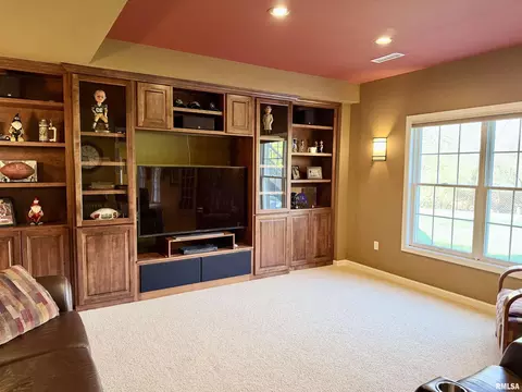 224 Hillbrook Ct, Dunlap, IL 61525 photo 67