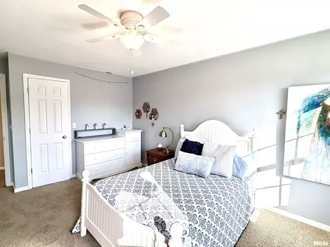 224 Hillbrook Ct, Dunlap, IL 61525 photo 53