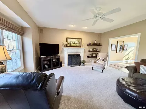 224 Hillbrook Ct, Dunlap, IL 61525 photo 31
