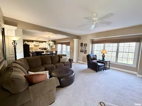 224 Hillbrook Ct, Dunlap, IL 61525 photo 32