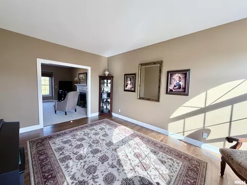 224 Hillbrook Ct, Dunlap, IL 61525 photo 34