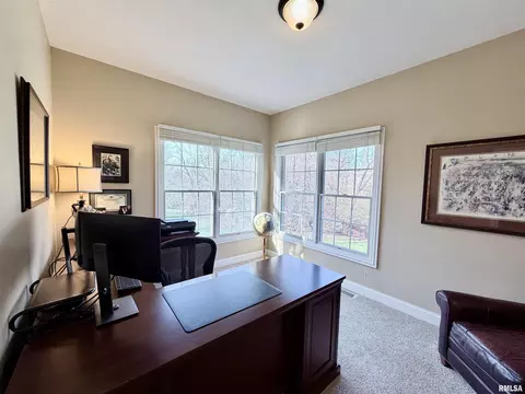 224 Hillbrook Ct, Dunlap, IL 61525 photo 37