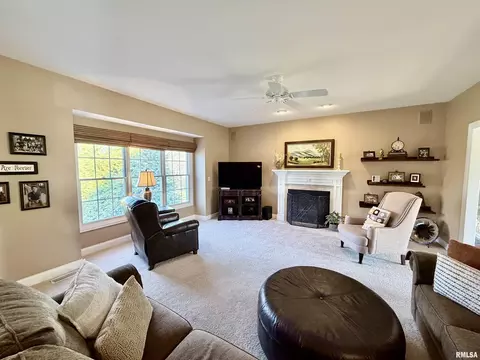 224 Hillbrook Ct, Dunlap, IL 61525 photo 30