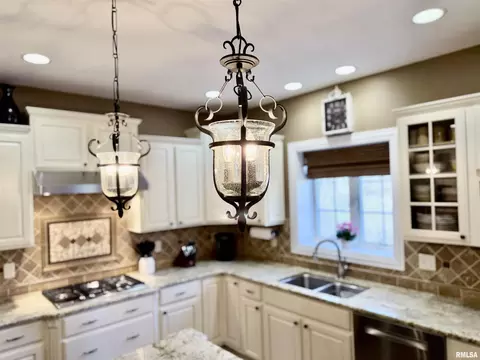 224 Hillbrook Ct, Dunlap, IL 61525 photo 21