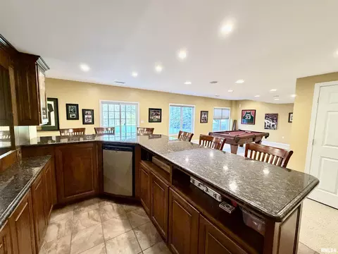 224 Hillbrook Ct, Dunlap, IL 61525 photo 59