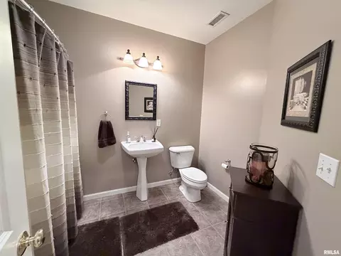 224 Hillbrook Ct, Dunlap, IL 61525 photo 57