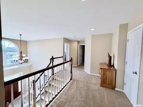 224 Hillbrook Ct, Dunlap, IL 61525 photo 42