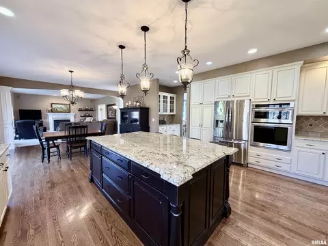 224 Hillbrook Ct, Dunlap, IL 61525 photo 27