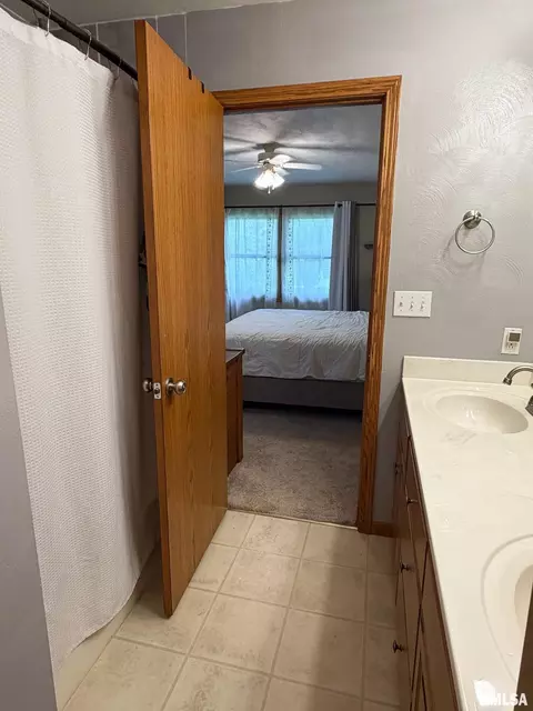 Bath - 202 Elm Cir, Eureka, IL 61530 photo 3 of 4