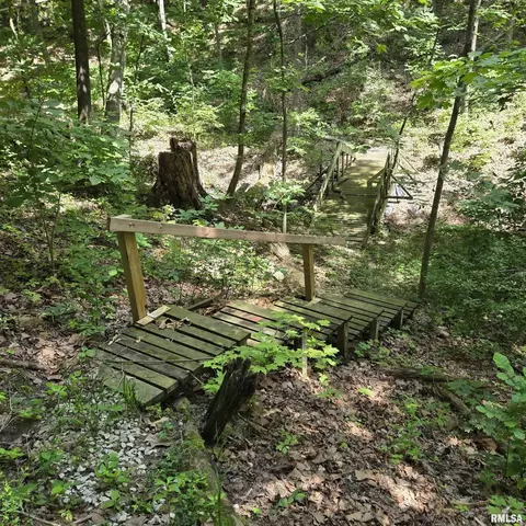 Other - 309 W Eagle Nest Rd, Dunlap, IL 61525 photo 16 of 23
