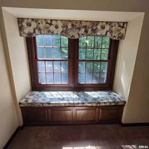 Other - 309 W Eagle Nest Rd, Dunlap, IL 61525 photo 5 of 23