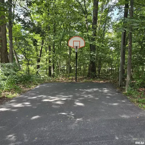 Exterior - 309 W Eagle Nest Rd, Dunlap, IL 61525 photo 12 of 21