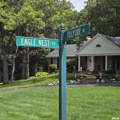 Other - 309 W Eagle Nest Rd, Dunlap, IL 61525 photo 23 of 23