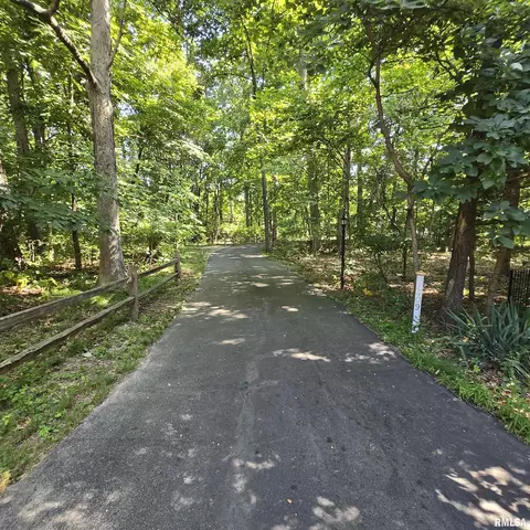 Other - 309 W Eagle Nest Rd, Dunlap, IL 61525 photo 22 of 23